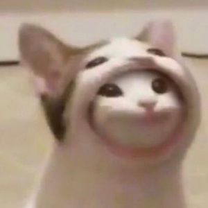 Meet your Posher, Stephen